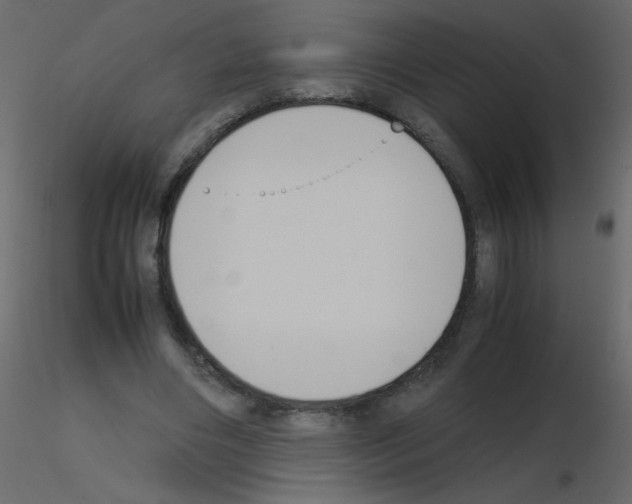 X0000115780490200912241814