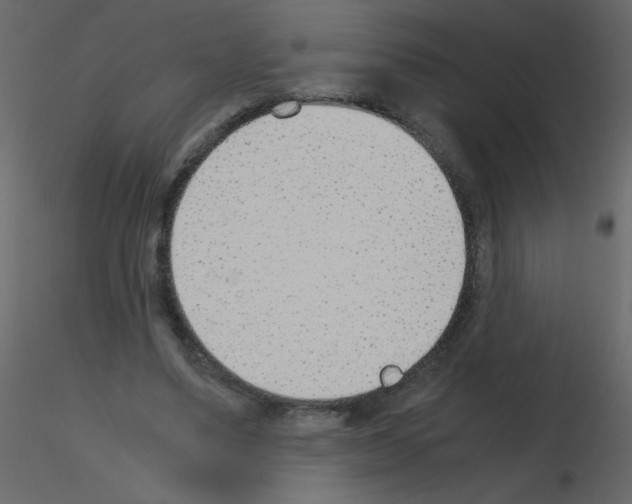 X0000115780491200912241814