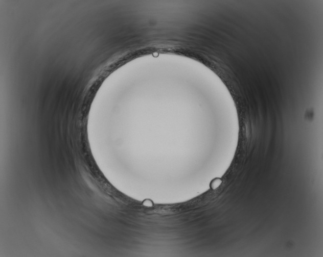 X0000115780492200912241814