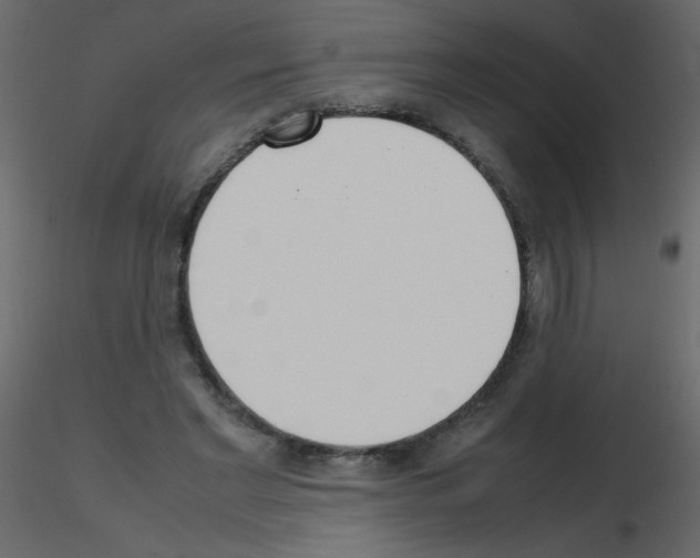 X0000115780493200912241814