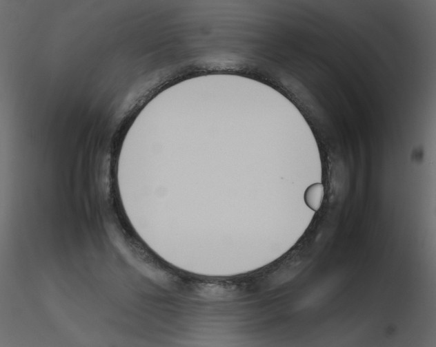 X0000115780494200912241814