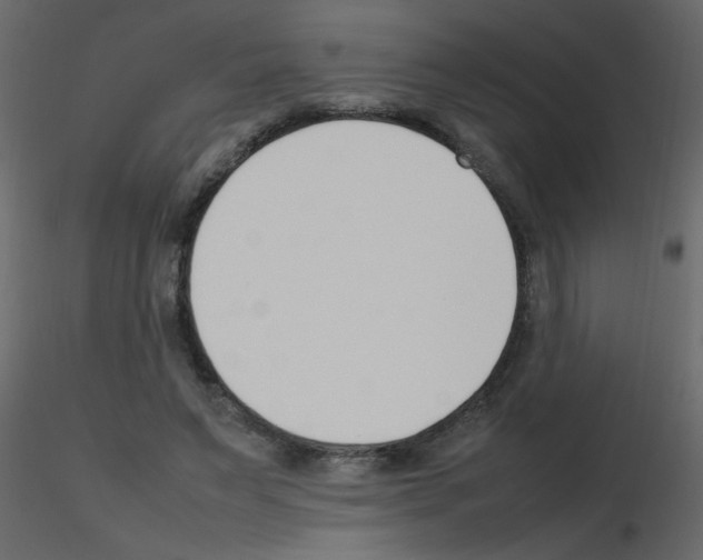 X0000115780495200912241814