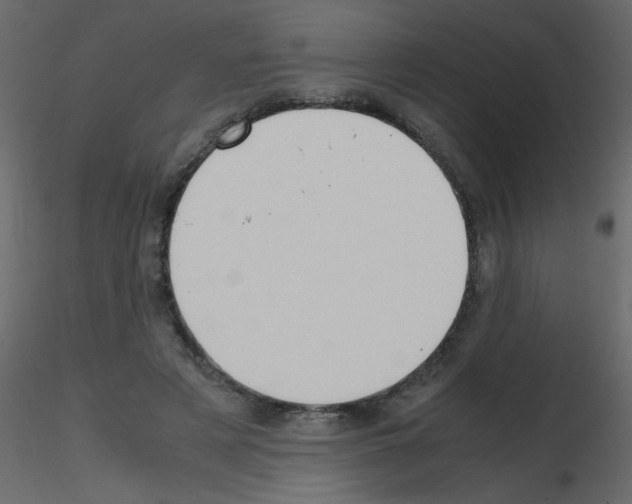 X0000115780497200912241814