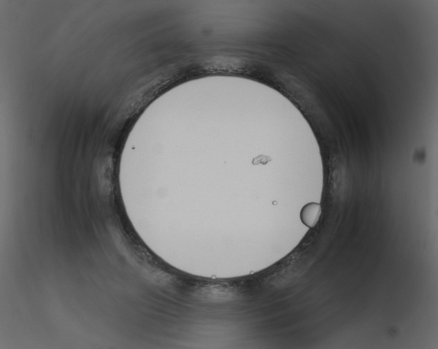 X0000115780498200912241814