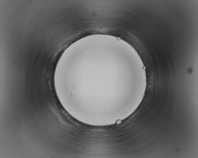 X0000115780500200912241813