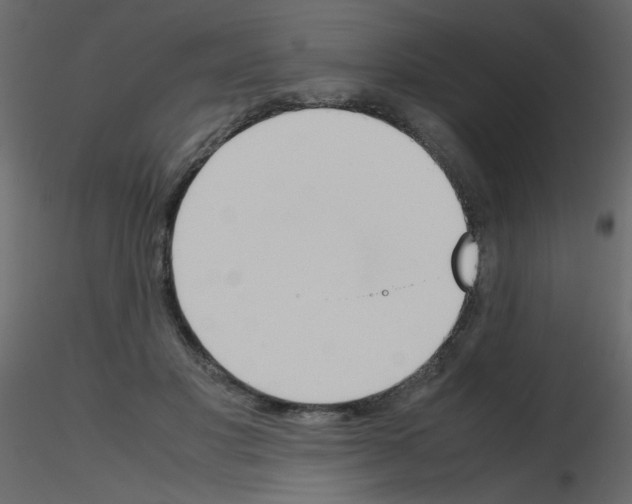 X0000115780501200912241813