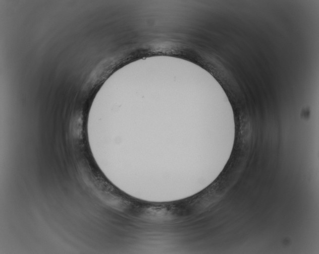 X0000115780502200912241813