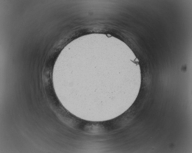 X0000115780503200912241813