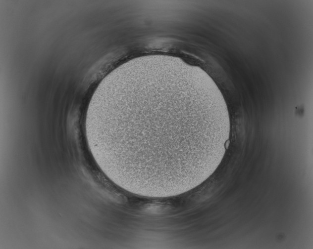 X0000115780504200912241813