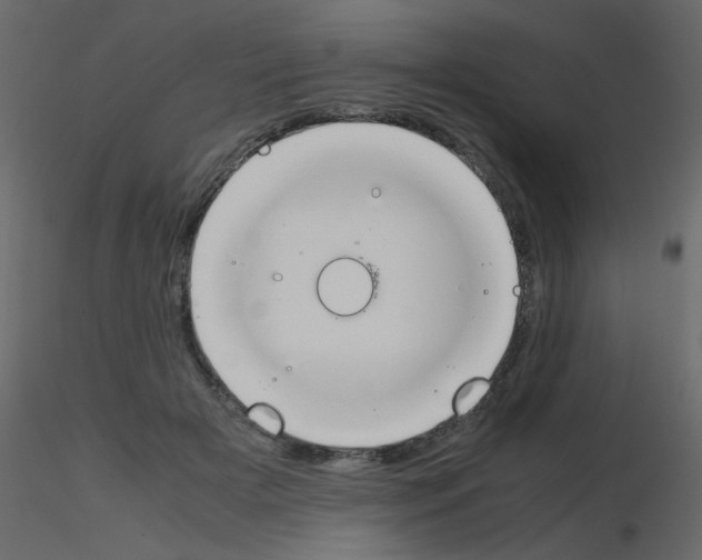 X0000115780505200912241813