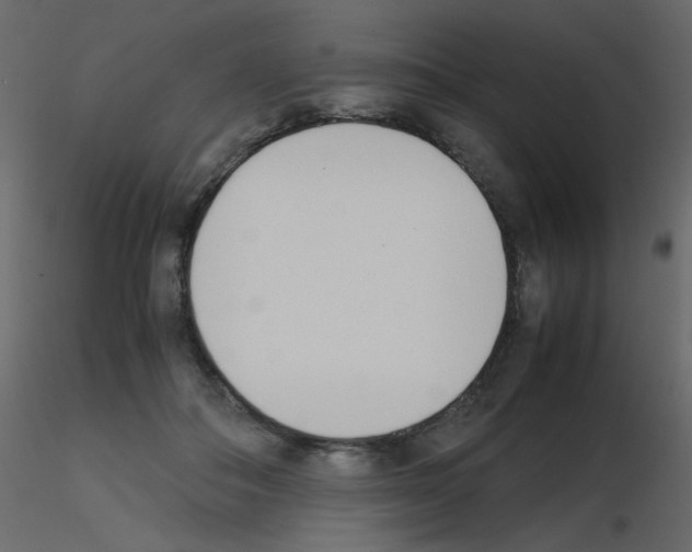 X0000115780506200912241813