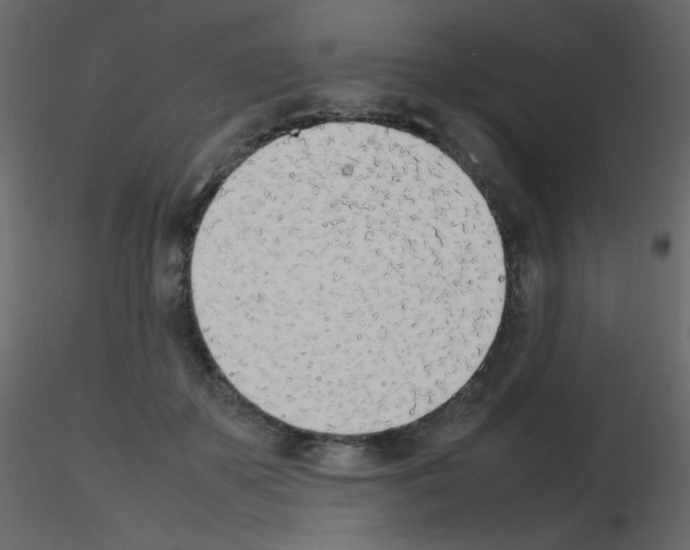 X0000115780507200912241813