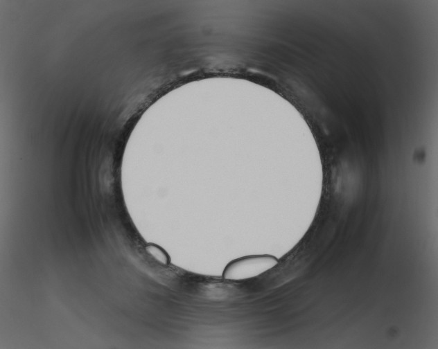 X0000115780508200912241813