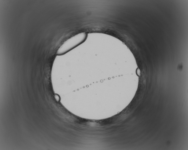 X0000115780509200912241813