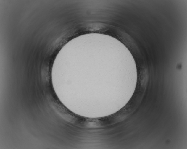 X0000115780510200912241813