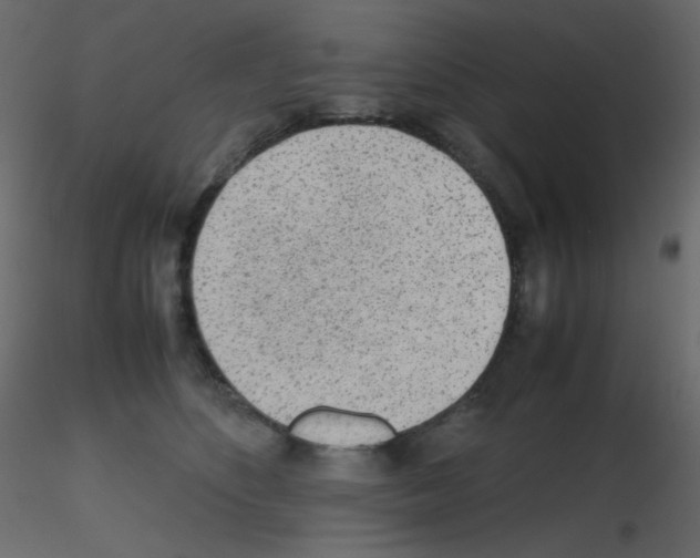 X0000115780516200912241813