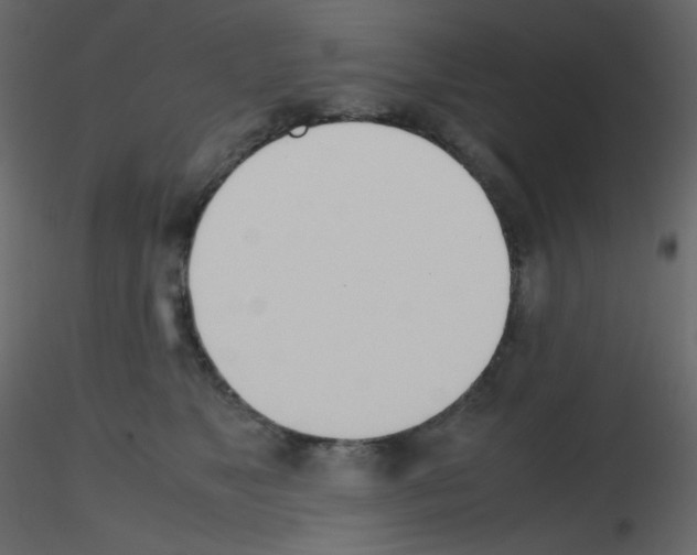 X0000115780517200912241813