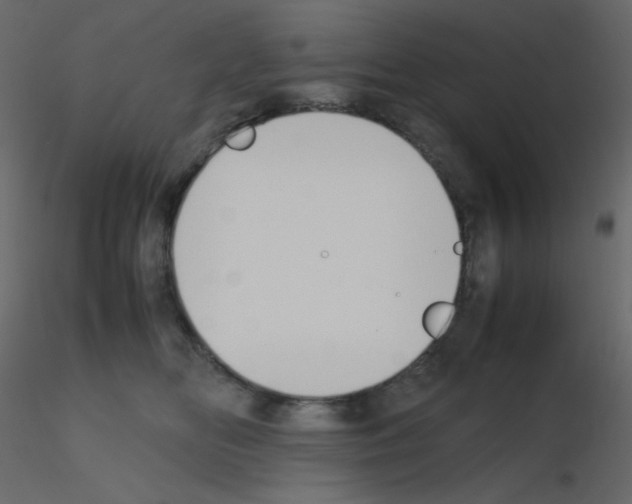 X0000115780518200912241813