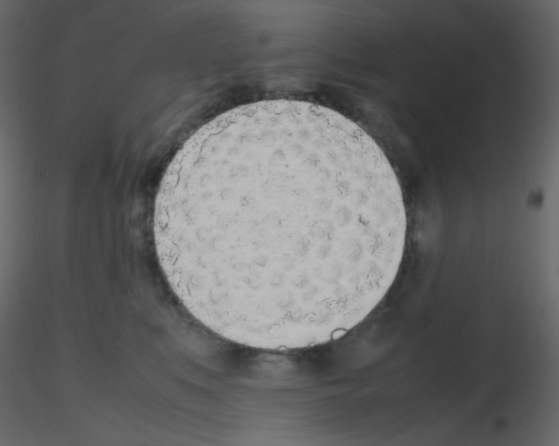 X0000115780519200912241813