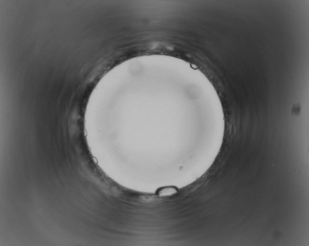 X0000115780520200912241813