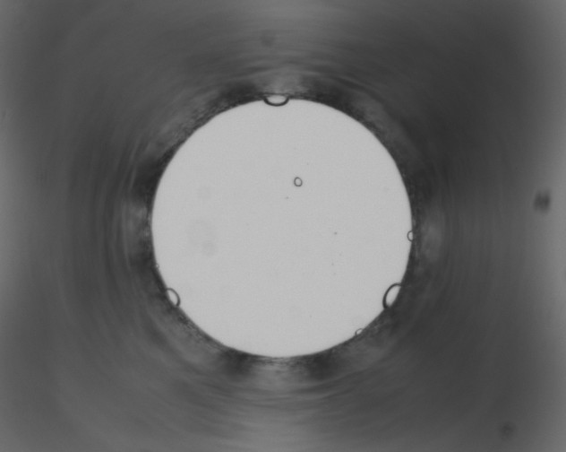 X0000115780521200912241813