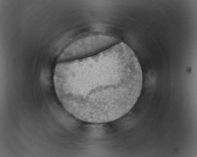 X0000115780524200912241813