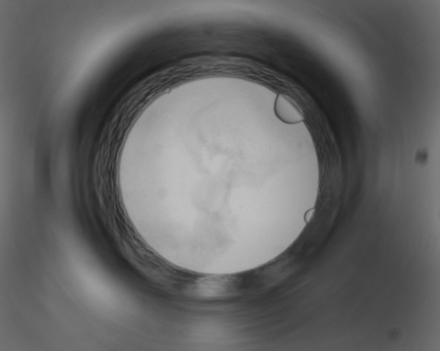 X0000115780526200912241813