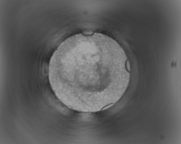 X0000115780528200912241813