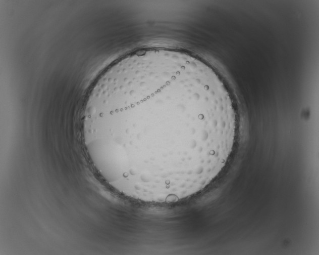 X0000115780529200912241812