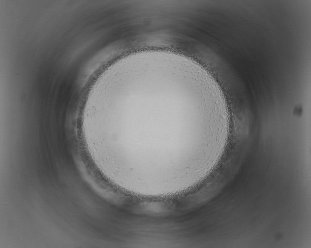 X0000115780534200912241813