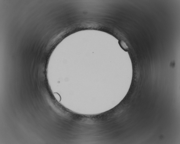 X0000115780538200912241813