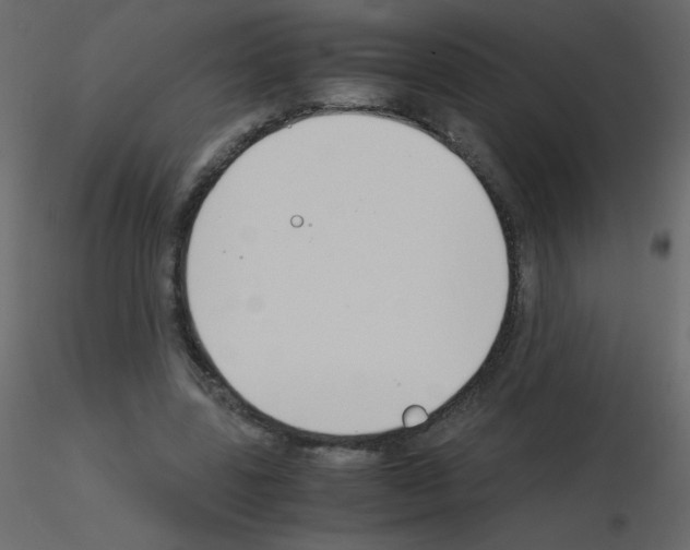 X0000115780539200912241813