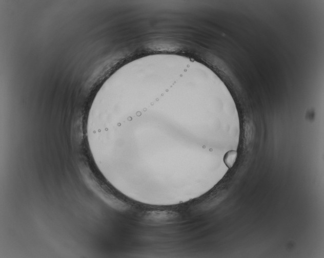 X0000115780541200912241813