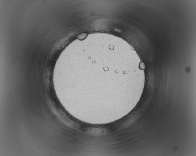 X0000115780542200912241813