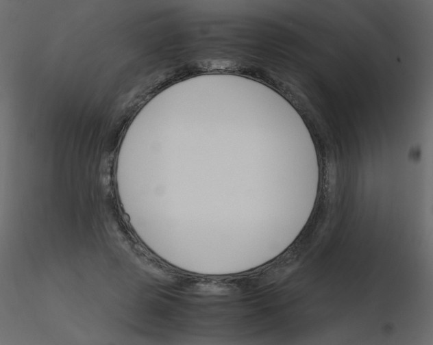 X0000115780545200912241813