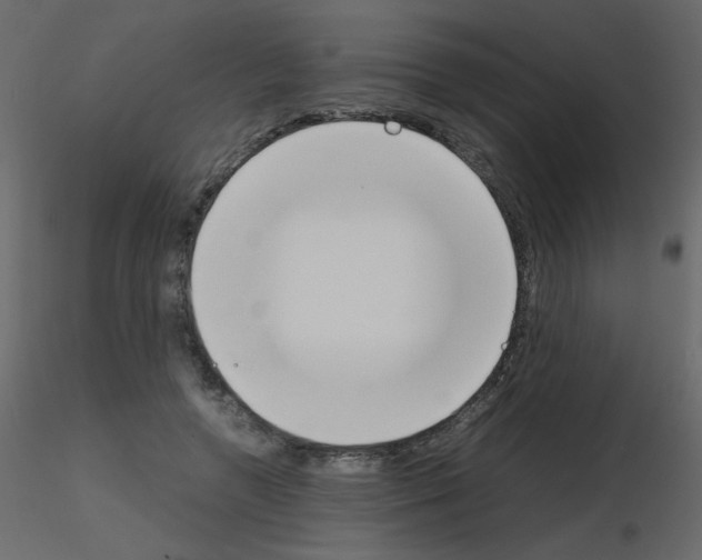 X0000115780546200912241813