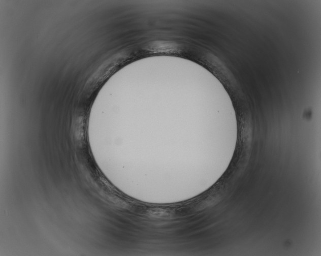 X0000115780549200912241813