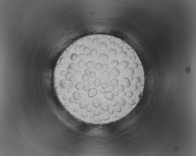 X0000115780550200912241813