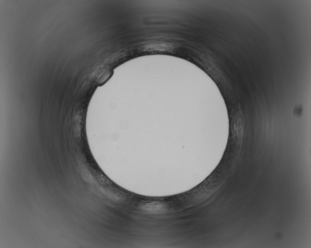 X0000115780551200912241813