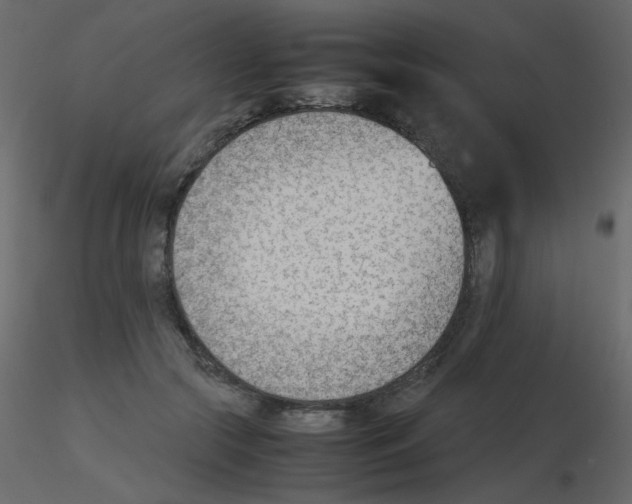 X0000115780553200912241813