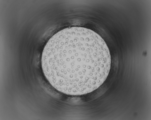 X0000115780554200912241813