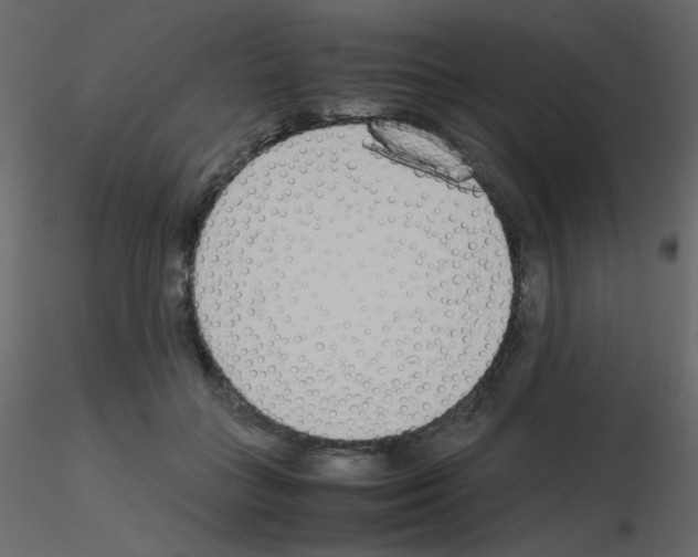 X0000115780555200912241813