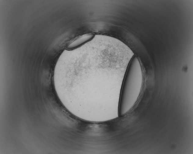 X0000115780558200912241813