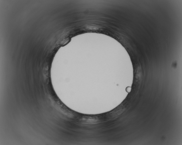 X0000115780559200912241813