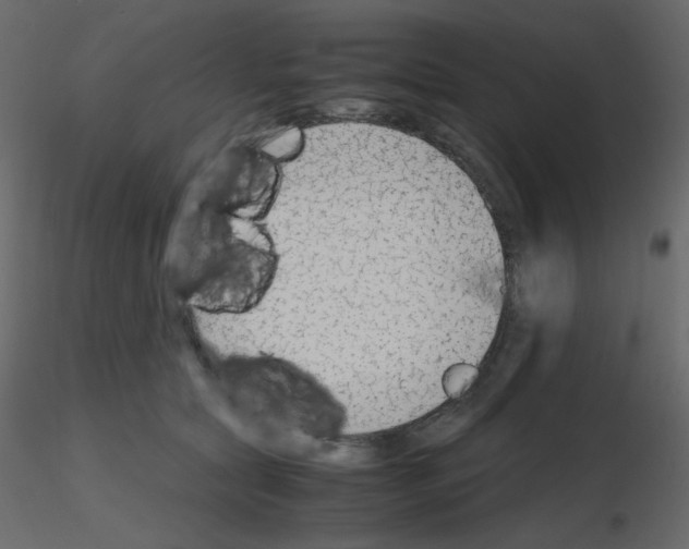 X0000115780561200912241813