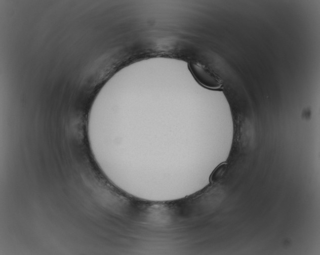 X0000115780562200912241813