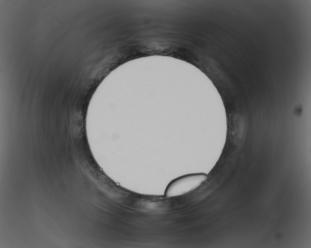 X0000115780563200912241813