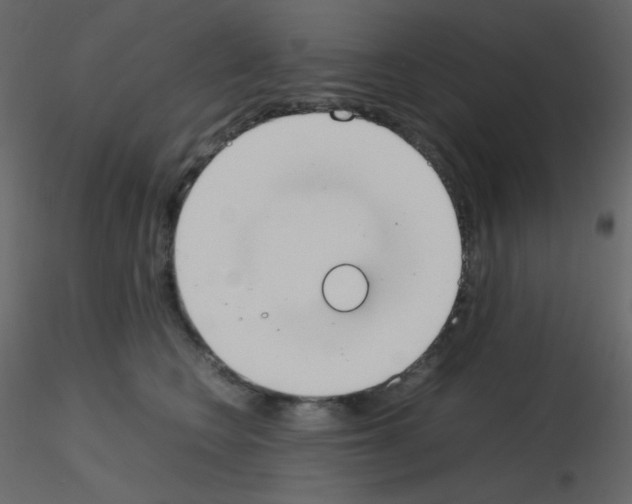 X0000115780566200912241813