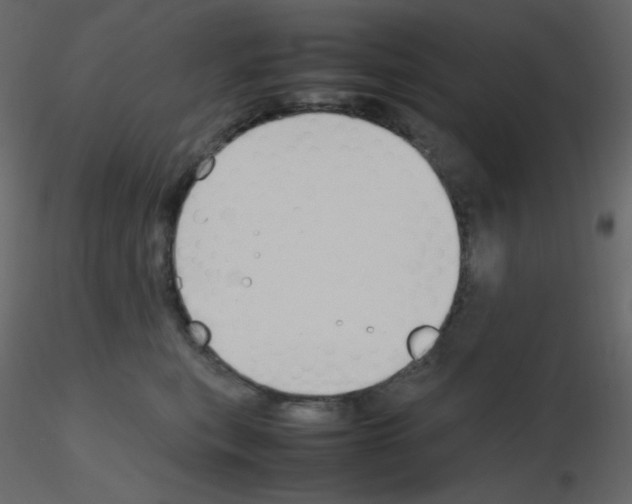 X0000115780567200912241813