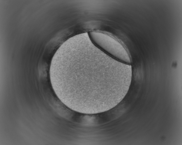 X0000115780570200912241813